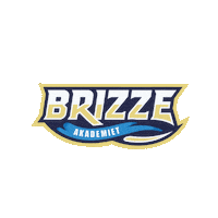 Brizze brizze brian mengel brizze akademiet brizze fc Sticker