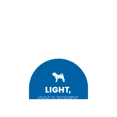 charpeyoficiall giphygifmaker kids light action Sticker