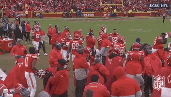 National Football League GIF by NFL