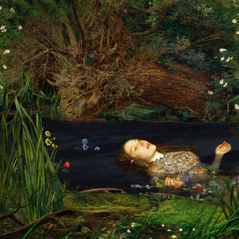 Rubber Duck River GIF by Kiszkiloszki