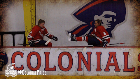 jumping ice hockey GIF by Robert Morris University Athletics