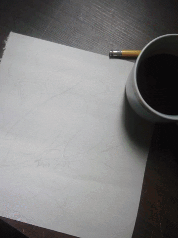 Zen33 giphygifmaker bird draw process GIF