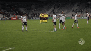 atletico-pr thank you GIF by SE Palmeiras