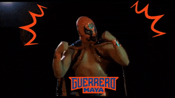 Lucha Libre Sport GIF by Guerrero Maya