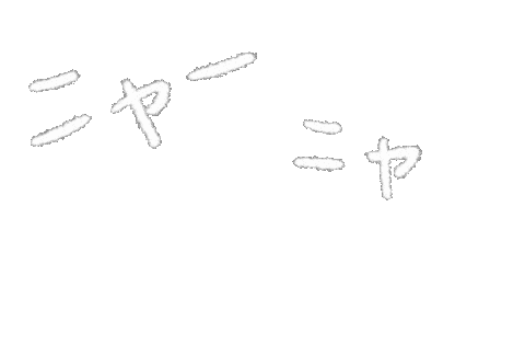 Yycat giphyupload cat meow nya Sticker