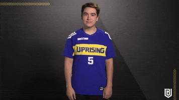 Meme Reaction GIF by Boston Uprising