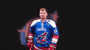 NewcastleNorthstars aihl northstars newcastlenorthstars GIF