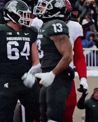 Buffalobills GIF