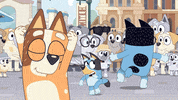 GIF by Bluey
