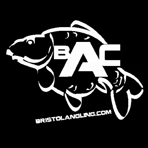 bristolanglingcentre fishing tackle bristol carp GIF