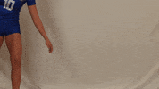 CUWFalcons  GIF