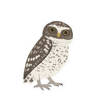Confused Bird Sticker