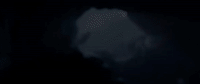 octopus GIF by Beyond Blue
