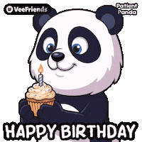 Happy Birthday Panda Sticker by VeeFriends