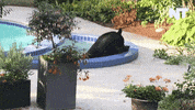 breaking news GIF by NowThis 