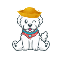 Sao Joao Mascote Sticker by Plugoo