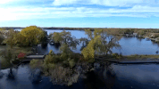 twin cities minnesota GIF