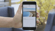 GIF by The Telegraph