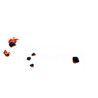 Juhannus Sticker by Nummirock