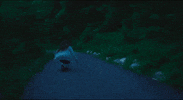 Happy On My Way GIF by SKATE KITCHEN