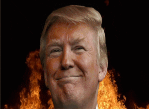 michael mcdonald GIF