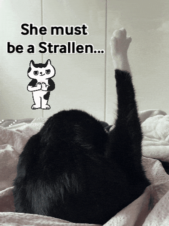 Dancer Black And White Cat GIF