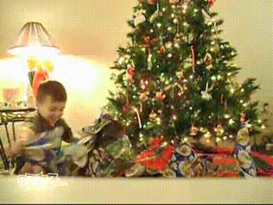 trees GIF