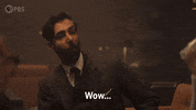 Season 1 Wow GIF by PBS