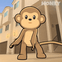 Good Morning Party GIF by Wise Monkey Meme