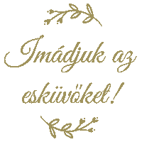 HappilyEverWeddings wedding happilyeverafter happilyever happilyeverweddings Sticker