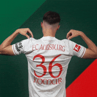 Happy Celebration GIF by FC Augsburg 1907