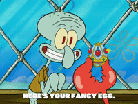 season 5 GIF by SpongeBob SquarePants