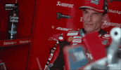 Happy All Good GIF by MotoGP™