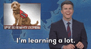 Snl GIF by Saturday Night Live