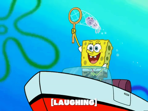 season 6 GIF by SpongeBob SquarePants