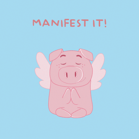 Flying Pig GIF by PositivelyPigasus