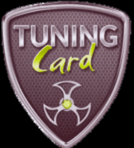 tuningcard_official tuningcard GIF