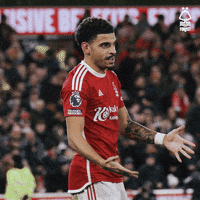 Bro Hug GIF by Nottingham Forest