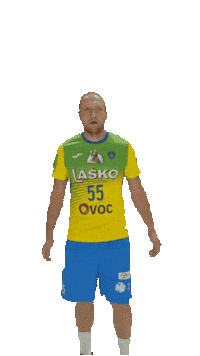 Handball Support Sticker by RK CELJE