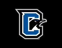 clark-college athletics penguins winking clark college GIF