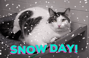 GIF by Nebraska Humane Society