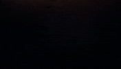 Flowers Love GIF by ZZ Ward