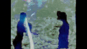 Youtube Film GIF