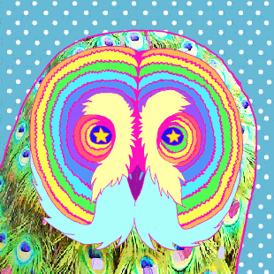 insomniacevents giphyupload rainbow owl GIF