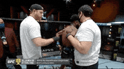 Aljamain Sterling Sport GIF by UFC