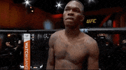 Israel Adesanya Sport GIF by UFC
