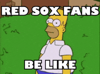 Red Sox Baseball GIF by Respective