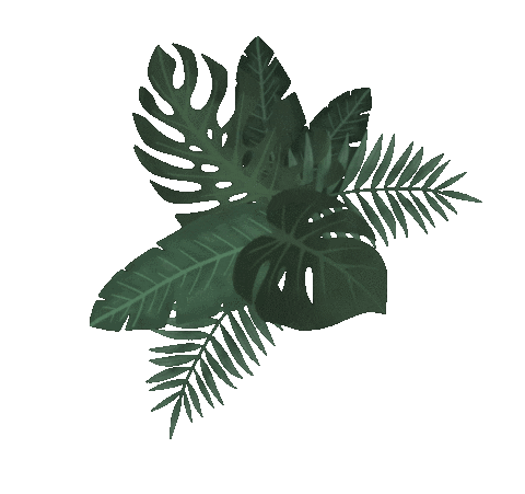 Plant Leaves Sticker