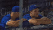 Blue Jays Baseball GIF by Toronto Blue Jays