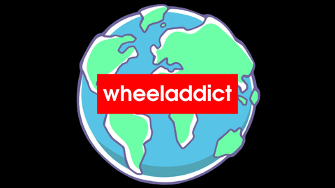 Fun Skates GIF by Wheeladdict